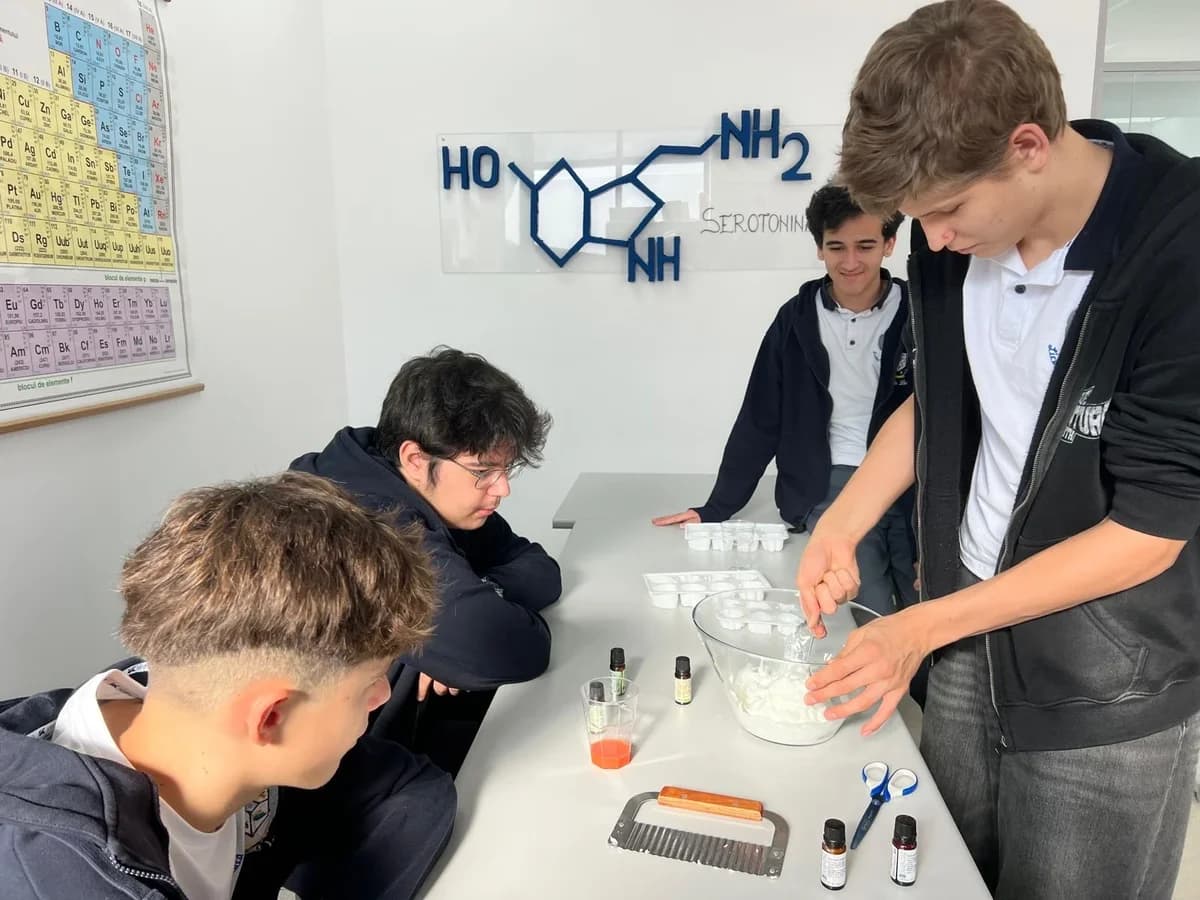 Liceul Teoretic Luca